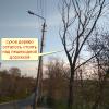оставили аварийное полностью сухое дерево