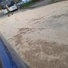 Пешеходы выходящие из-за троллейбуса не видны водителям 