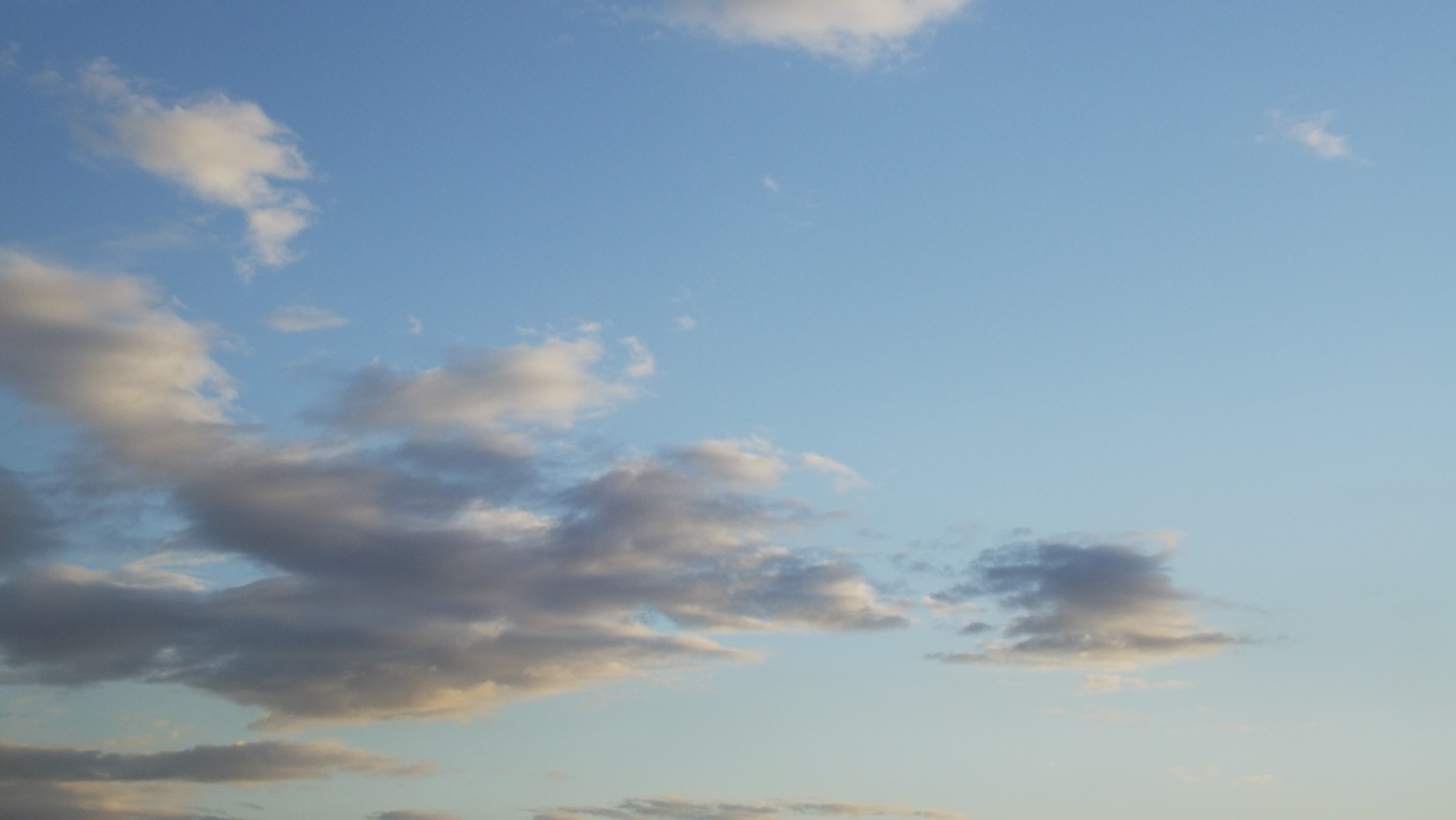 Алёна  Вихрова