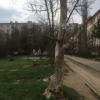 Фотография 1
