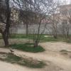 Фотография 2