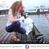 Автошины-кранцы на причале катеров у Графской пристани (кадр из видео)