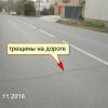 Фотография 1