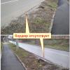 Фотография 1