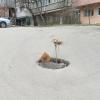 Фотография 1
