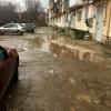 Фотография 1