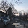 Фотография 1