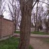 Фотография 3