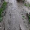 Фотография 6