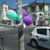 Фотография 5