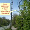 дерево в апреле 2019