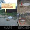 фото март - декабрь 