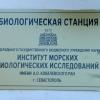 Статус