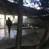 Фотография 4