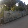 Фотография 1